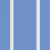 Pinstripe Cornflower